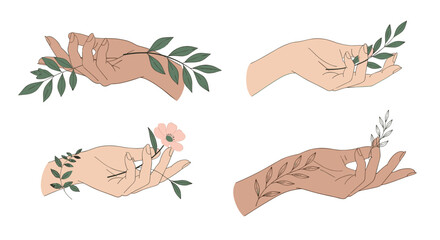 Elegant hands gently holding delicate leaves and flowers.