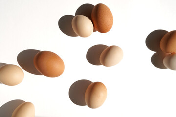 Eggs from Different Breeds of Chickens Arranged on White Background. Top View.