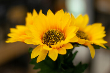 Artificial Sunflower at f/1.8