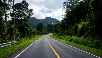 Fototapeta premium Winding road through lush greenery
