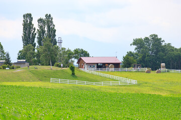 Pastoral Farm Landscape with Barn and Green Fields in Biei, Hokkaido, Japan