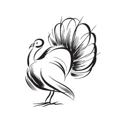 Brush stroke sketch of a turkey with fanned tail.