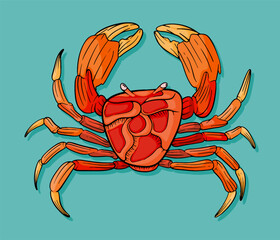 Illustration of a crab sea monster. Can be used for T-shirt & Apparel Design, Poster & Cover, Game & Comic, Digital Content