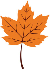 vector illustration of an autumn maple leaf