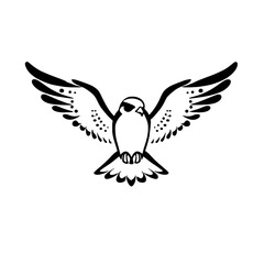 Fototapeta premium Falcon. Falcon simple black and white line art vector logo