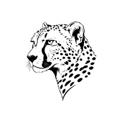 Cheetah head profile illustration with black spots on white background
