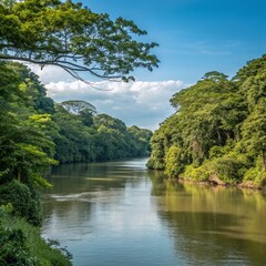 Obraz premium the river in the forest