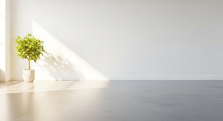 Sunlit minimalist interior with indoor plant creating a bright and serene atmosphere offering peacefulness