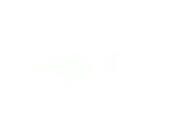 Png isolated on transparent background stock royalty free png
