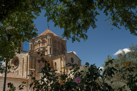 Collegiate church of Santa María la Mayor, Toro, Spain
