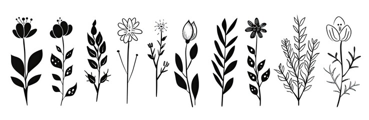 Black and white flower elements on plain backdrop for design or decoration