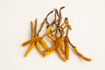 Cordyceps sinensis or Ophiocordyceps sinensis isolated on white background, mushroom herb treatment medicine.