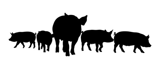 Group of Pig Silhouette Vector Illustration