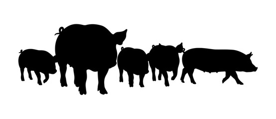 Group of Pig Silhouette Vector Illustration