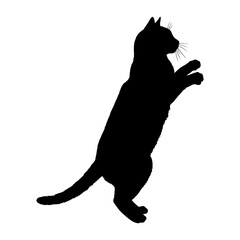 Cat Silhouette Vector Illustration , Animal Silhouette Element