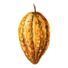 Yellow cocoa pod watercolor illustration tropical cacao fruit exotic bean shell organic chocolate ingredient isolated