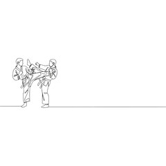 Two martial artists practicing high kick in minimalist line art