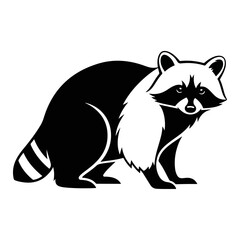 Raccoon standing with black and white fur, isolated on white background