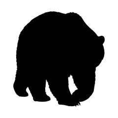 Bear Silhouette Vector Illustration , Animal Silhouette Vector