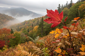 Landscape on The Kancamagus Highway