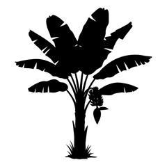 Banana Tree Silhouette Vector Illustration