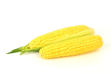 Two yellow corn cobs are on a white background