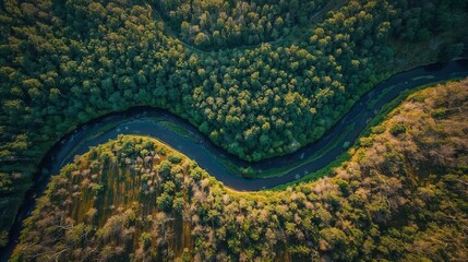 river aerial view in jungle