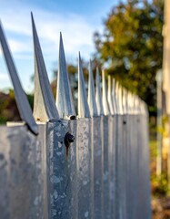 Razor-sharp fence line