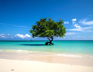 Tropical beach scene with lone tree