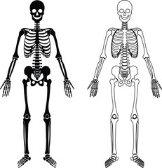 Human skeleton icon set collection group isolated on transparent background in black and line style, anatomy bones illustration, skull rib cage spine pelvis arm leg foot medical vector bundle design