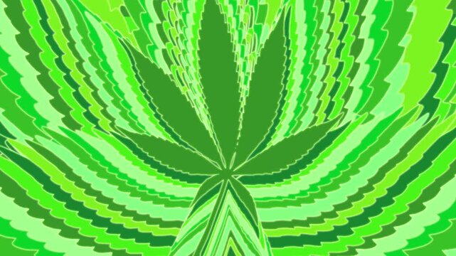 Animated marijuana pot leafs in various shades of green filling the screen, cartoon style. Loopable transition with easily keyed blue screen.