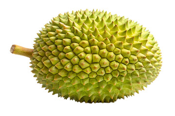 A whole ripe durian fruit with a spiky green rind and a short stem isolated on transparent background