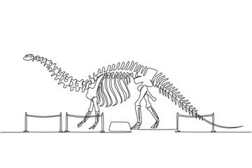 Continuous one line drawing brontosaurus dinosaur skeleton in museum room. Getting to know anatomy of predatory animal in the past International Museum Day. Single line draw design vector illustration © Simple Line