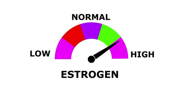 Estrogen Meter Animation.Measuring Estrogen from Low to High Levels.Increasing and Decreasing Gauge from low to high Levels, Comparison Indicator for Data Visualization, perfomance, and Motion