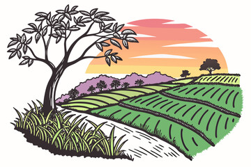 Rice paddy field at sunset with tree landscape