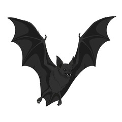 Vampire Bat Vector Illustration Halloween Flying Silhouette Icon