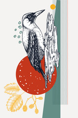 Hand drawn woodpecker vector illustration. Bird on tree sketch. Collage style poster design. NOT AI generated