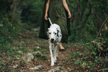 Magical elven lady with Dalmatian walking through dark green woods