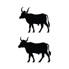 Black and white silhouette two oxen