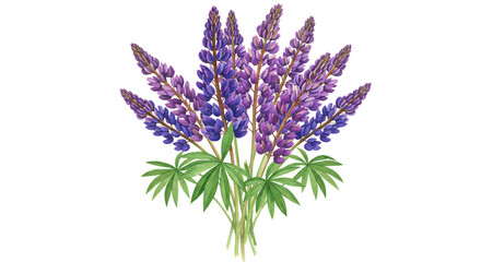 Naklejka premium Purple Lupine Flower Bouquet with Green Leaves on Transparent Background