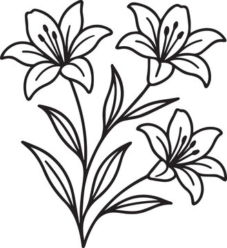 black lilis line art simple vector