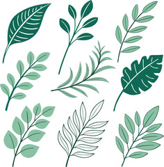 Collection of various hand drawn botanical illustrations featuring diverse green leaves and branches in a simple artistic style on a white background