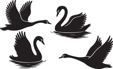 swan silhouette vector, bird wildlife art, elegant swan clipart, water bird design, black swan artwork, lake animal graphic, romantic swan illustration, couple swans svg, nature wildlife image, gracef