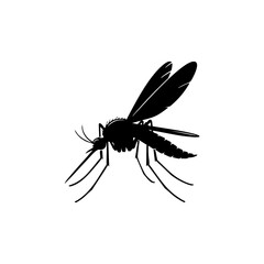 Obraz premium Silhouette of a mosquito