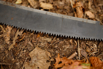 machete lies on the ground in an autumn forest, surrounded by fallen leaves
