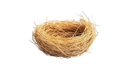 Empty bird nest isolated on transparent background, crafted from natural materials, showcasing its intricate woven structure and organic texture
