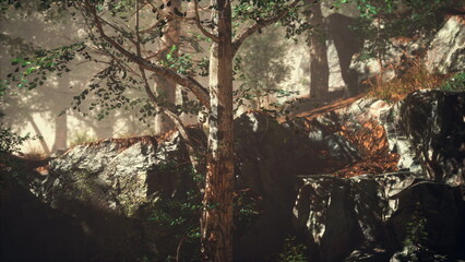 Soft light filters through tall trees in a serene forest clearing, revealing rugged rocks and vibrant foliage. Morning mist swirls gently, creating an enchanting atmosphere.