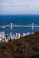 Busan city panorama beautiful skyline view from Hwangnyeongsan mountain observatory, Busan port, Gwangan bridge and harbor bay, South Korea, Yeongnam district, sunny day, travel to Republic of Korea