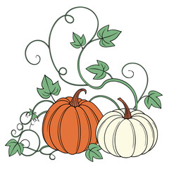 Orange and white pumpkins with green twisting vines and leaves