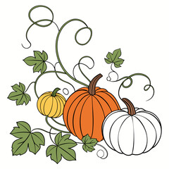 Orange yellow and white pumpkins with green vines and leaves